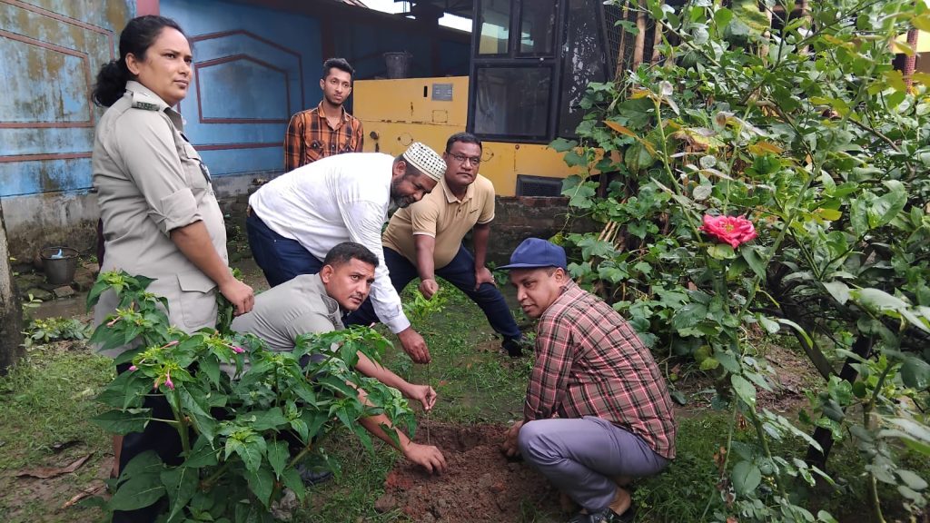tree planting 26 1